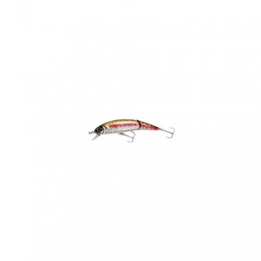 Abu Garcia Tormentor Jointed 110F