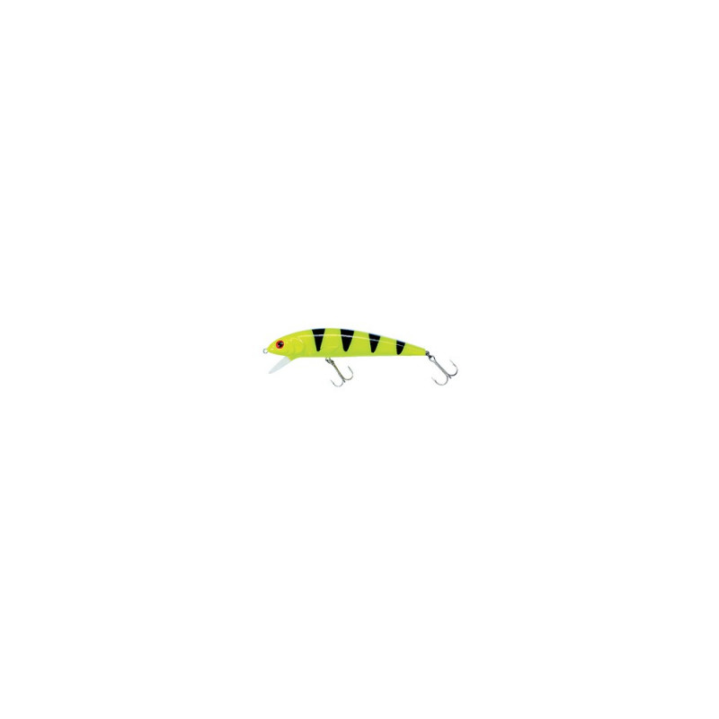 07_yellow_tiger.jpg