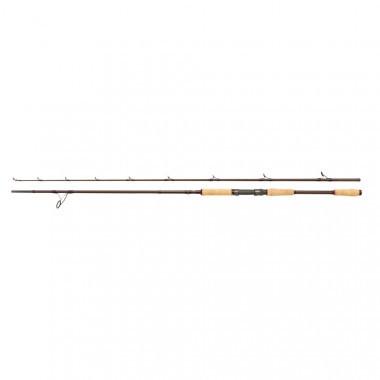 Modèle Canne Abu Garcia Beast Pro Spinning