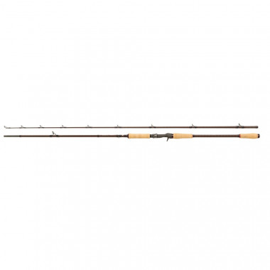 Modelo Caña Abu Garcia Beast Pro Casting