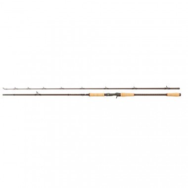 Modèle Canne Abu Garcia Beast Pro Casting